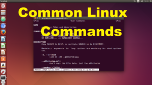 linux find file name command line